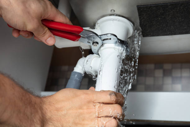 Best Water damage mitigation services  in North Great River, NY