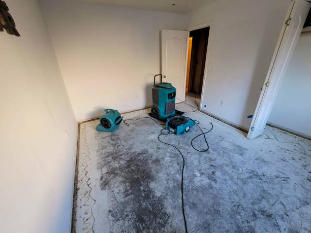 Best Fire Damage Restoration  in North Great River, NY
