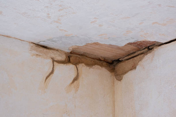 Best Water damage restoration experts  in North Great River, NY