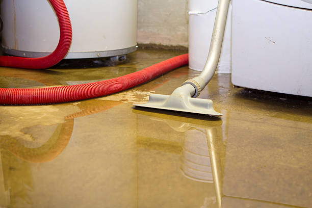 Best Local water damage restoration  in North Great River, NY
